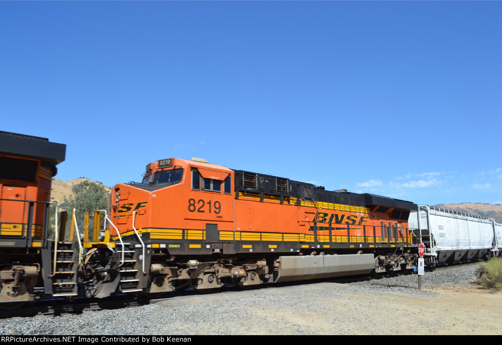 BNSF 8219